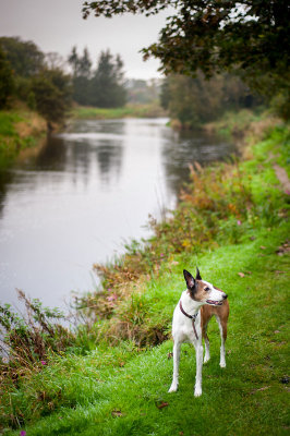 18th September 2014  between the river and the forest