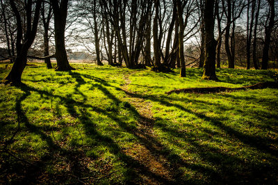 10th April 2015 <br> spring shadows