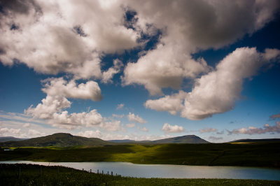 DSC_5754-001.jpg