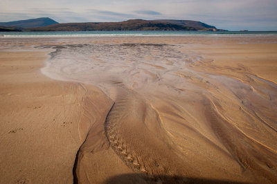 DSC_9407-001.jpg
