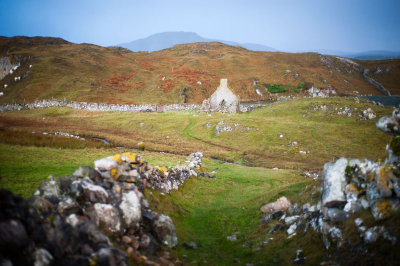 DSC_1491-001.jpg