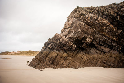 DSC_2041-003.jpg