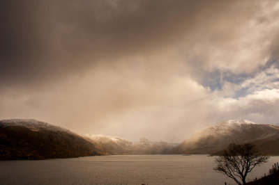 DSC_2320-001.jpg