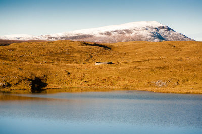 DSC_2361-001.jpg