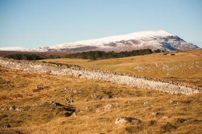 DSC_2374-001.jpg