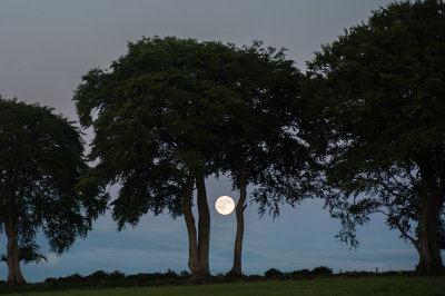 20th June 2016  strawberry moon