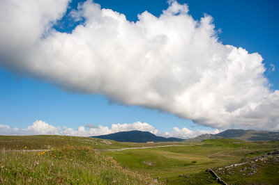 DSC_6143-001.jpg