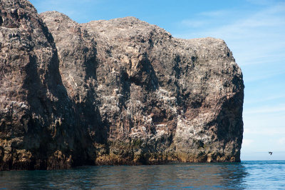 DSC_6334-001.jpg
