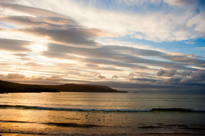 DSC_6902-001.jpg