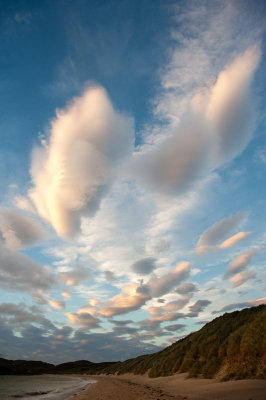 DSC_6915-001.jpg