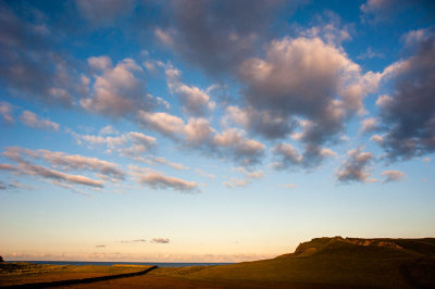 DSC_7071-001.jpg