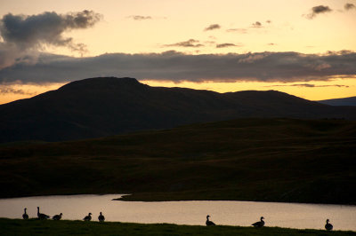 DSC_7123-001.jpg