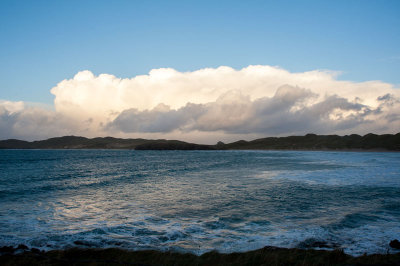 DSC_7912-001.jpg