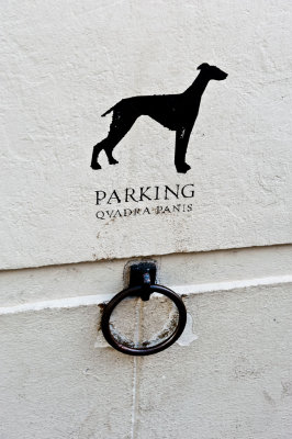 Dog Parking