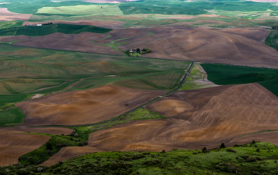 Palouse Farms from Steptoe Butte