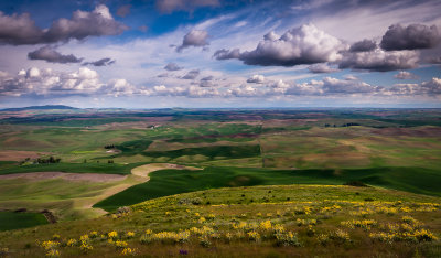 Spring in the Palouse