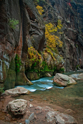 Virgin River Narrows