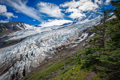 Coleman Glacier, Mt. Baker, Washington  USA