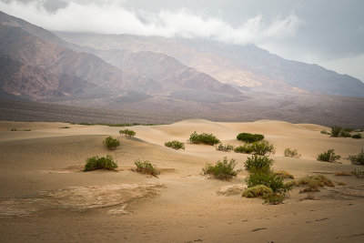 Mesquite Dunes, Death Valley