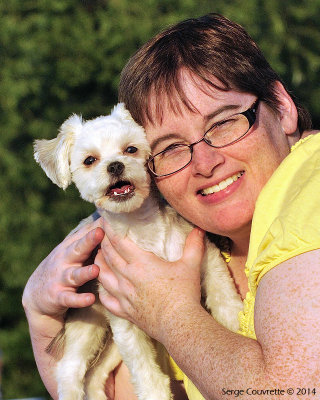 morkie
