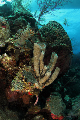 _MG_5075.JPG
