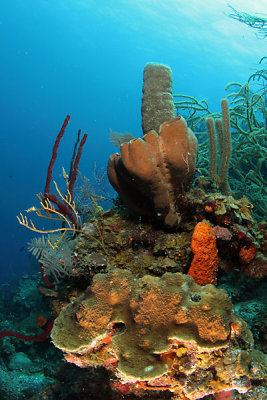 _MG_5087.JPG