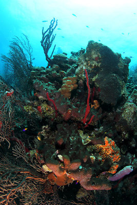 _MG_5214.JPG