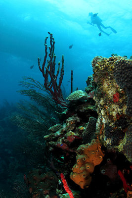 _MG_5216.JPG