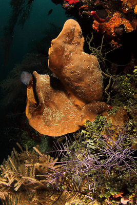 _MG_6247.JPG