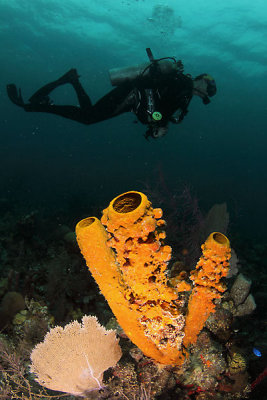 _MG_6267.JPG
