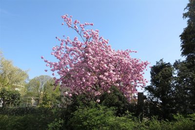 6 may 2013