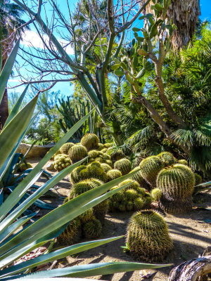 Palm Springs