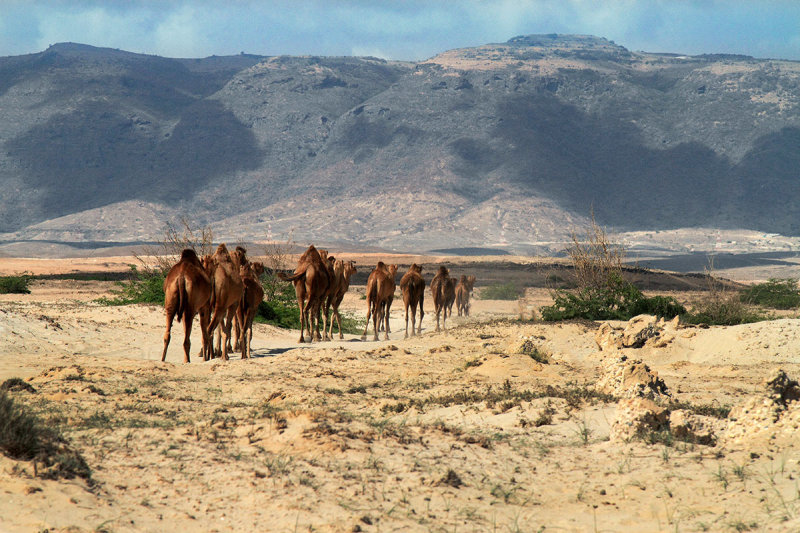 Looking to Dhofar mountains 