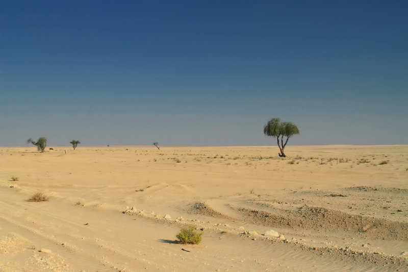 Desert road going to Rub al Khali