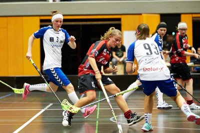 BILD0370.jpg