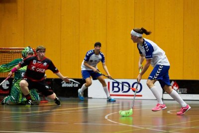 BILD0508.jpg