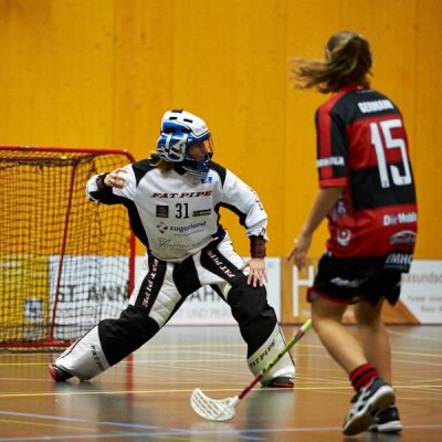 BILD0513.jpg