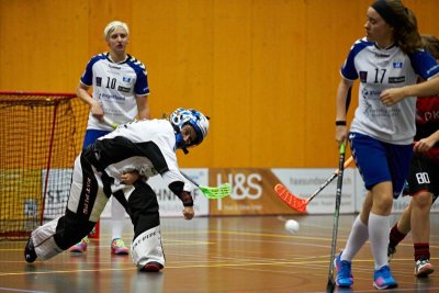 BILD0523.jpg