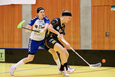 Damen NLA 03.jpg