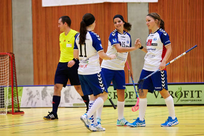 Damen NLA 18.jpg