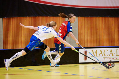 Damen NLA 05.jpg
