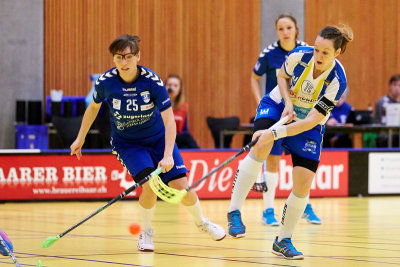 Damen NLA 15.jpg