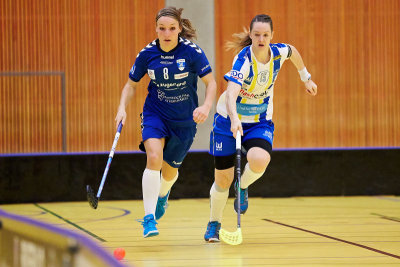 Damen NLA 21.jpg