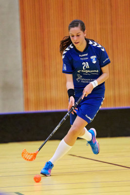 Damen NLB 15.jpg