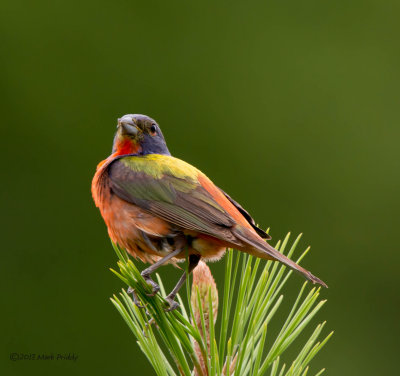 DSC_5636-Edit-1.jpg