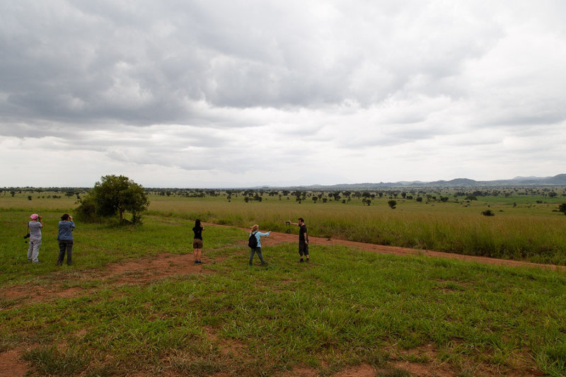 SAFARI004.jpg