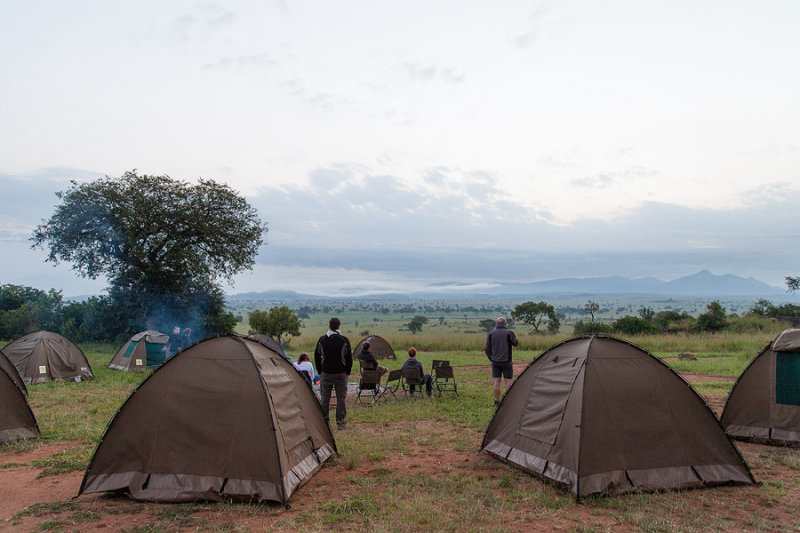 SAFARI034.jpg