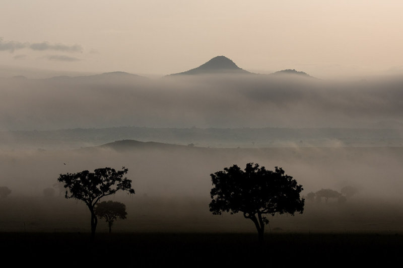 SAFARI040.jpg