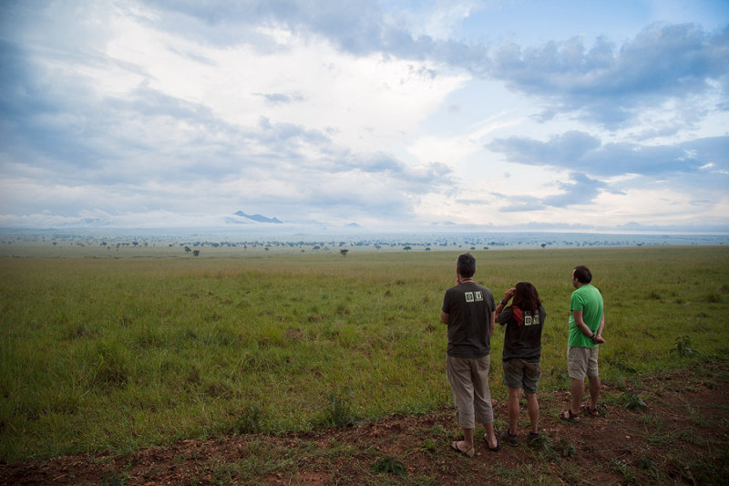 SAFARI085.jpg