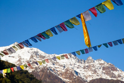 Annapurna Trek